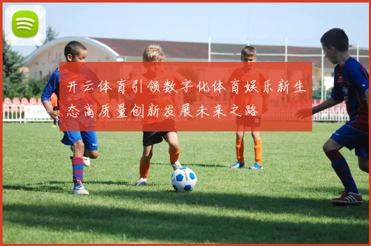 开云体育引领数字化体育娱乐新生态高质量创新发展未来之路