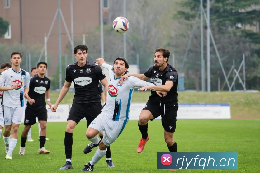 开云官网平台生态图